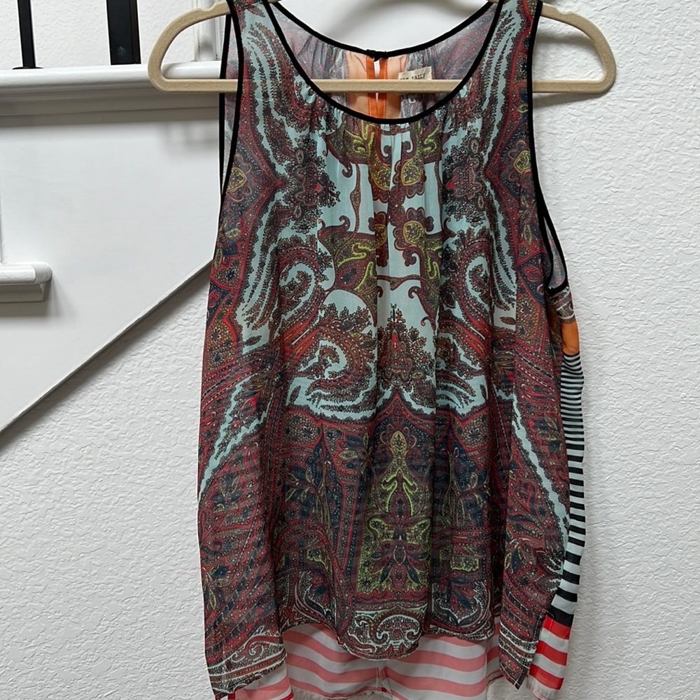 Sheer Tunic top